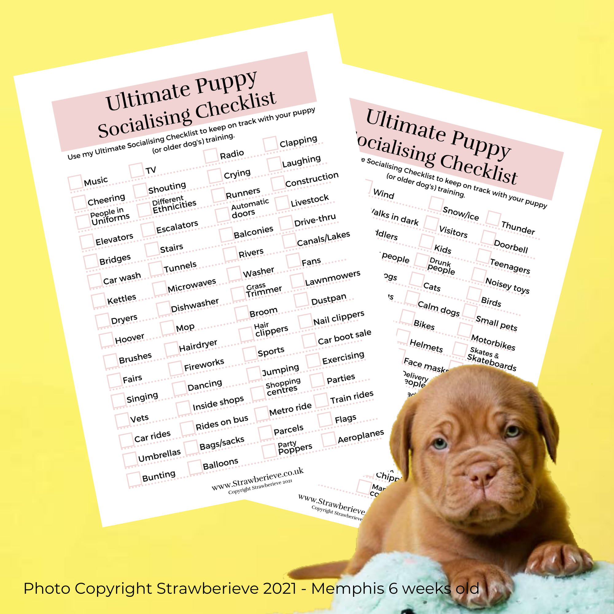 ultimate puppy socialisation checklist tracker from strawberieve